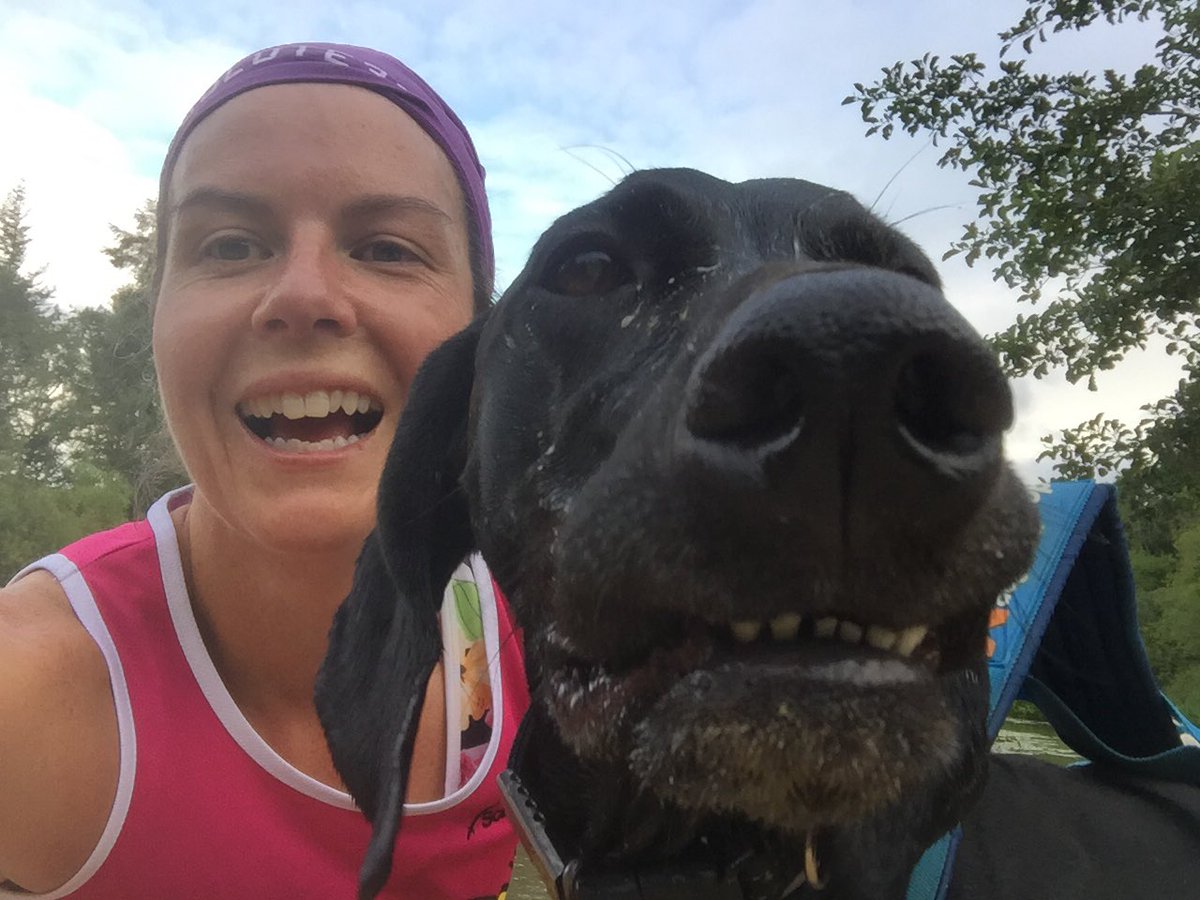 k9_runner's tweet photo. Short intervals tonight ! Lucky for us there is a well placed lake @ForestryEngland Abbots Woods for a cool off between reps. #canicross #dirtychops #GirlPower π https://t.co/sxKNNAeCQR