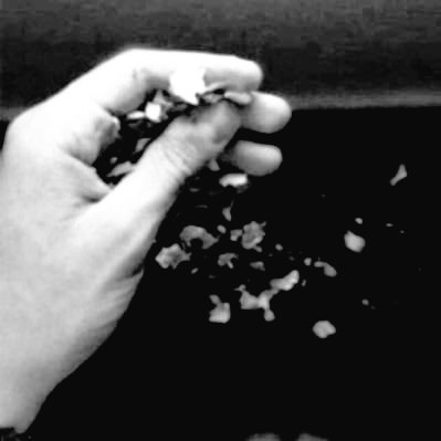 غزال ملثـم نظرنـي وسلهم تعـدى وسلـم وراح بطريقـه
سحرني جماله ذبحني دلاله وقلبـي صفاله مـن أول دقيقـه
تبعته أنادي ياغاية مرادي رقص لك فؤادي وهتف لك طليقـه
يابو رمش فاتن واحلى المحاسن وياي أرض ساكن أريد الحقيقه.
-عزازي.