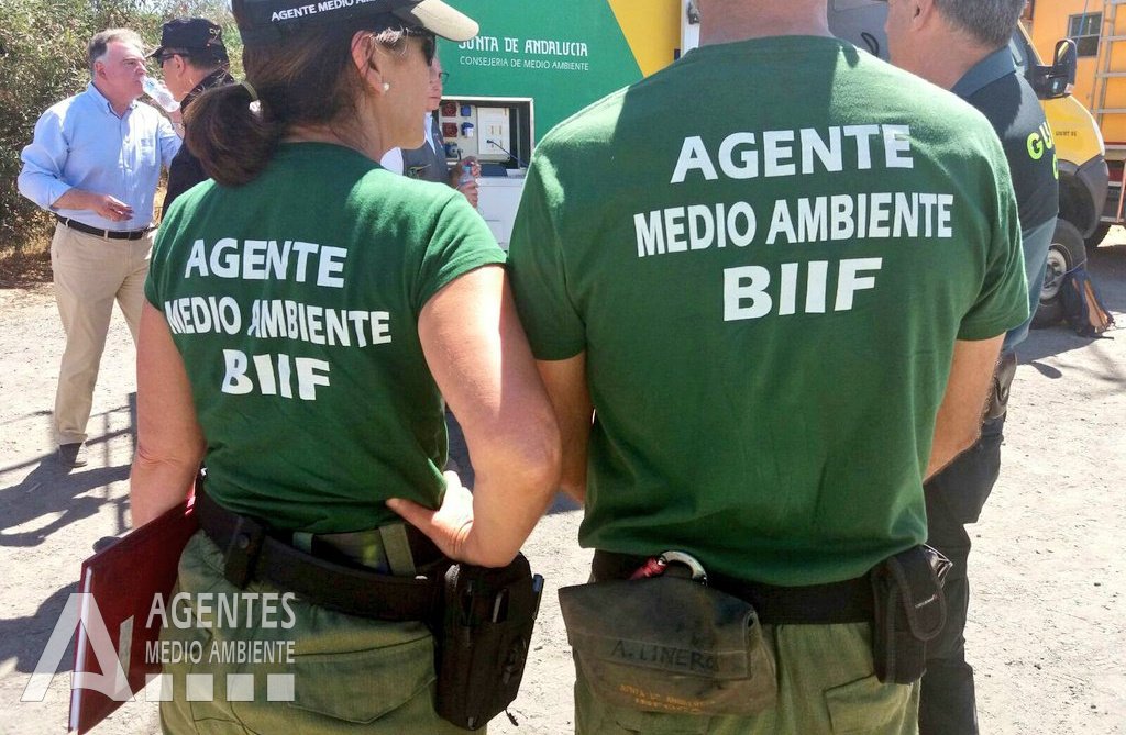 danza puerta Alabama Agentes Medio Ambiente de Andalucía on Twitter: "En el marco de los incendios forestales tenemos carácter de Autoridad y nos integramos en el @Plan_INFOCA, como Coordinadores de Demarcación (Dirección Técnica de Extinción danza puerta Alabama Agentes Medio Ambiente de Andalucía on Twitter: "En el marco de los incendios forestales tenemos carácter de Autoridad y nos integramos en el @Plan_INFOCA, como Coordinadores de Demarcación (Dirección Técnica de Extinción