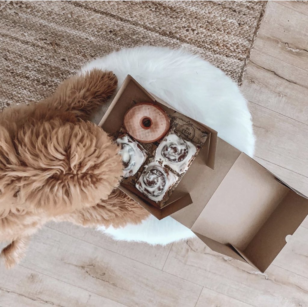 losdoodz's tweet photo. Rio can’t resist the @TheSaltyDonut’s cinamon rolls &amp; tradional glaze donut 🤤 we don’t blame him! #yum https://t.co/hmEvz9JJRU