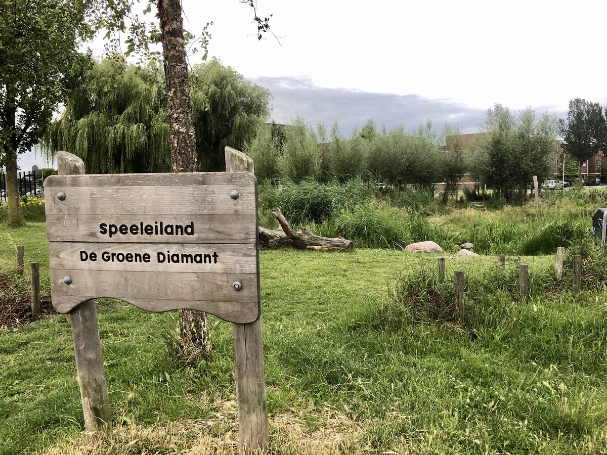 HannaLara's tweet photo. Mijn week in foto’s (7/7) uitgedaagd door @LeeflangHans bewoners die een buurttuin claimen en OV strook die Groene Diamant werd - de #vinex realiteit - zin om met @UniUtrecht #planningateliers te organiseren #jongRO
Ik nomineer @P_Pelzer ook zijn week in foto’s vast te leggen. https://t.co/LUF39G3uZj
