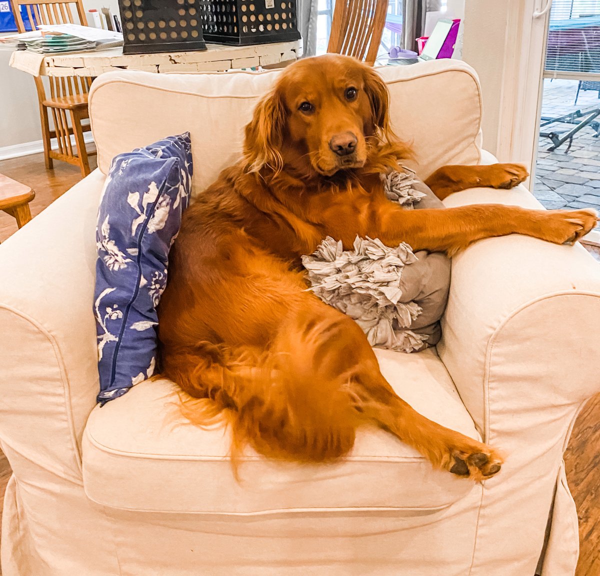 WFLA NEWS tweet media