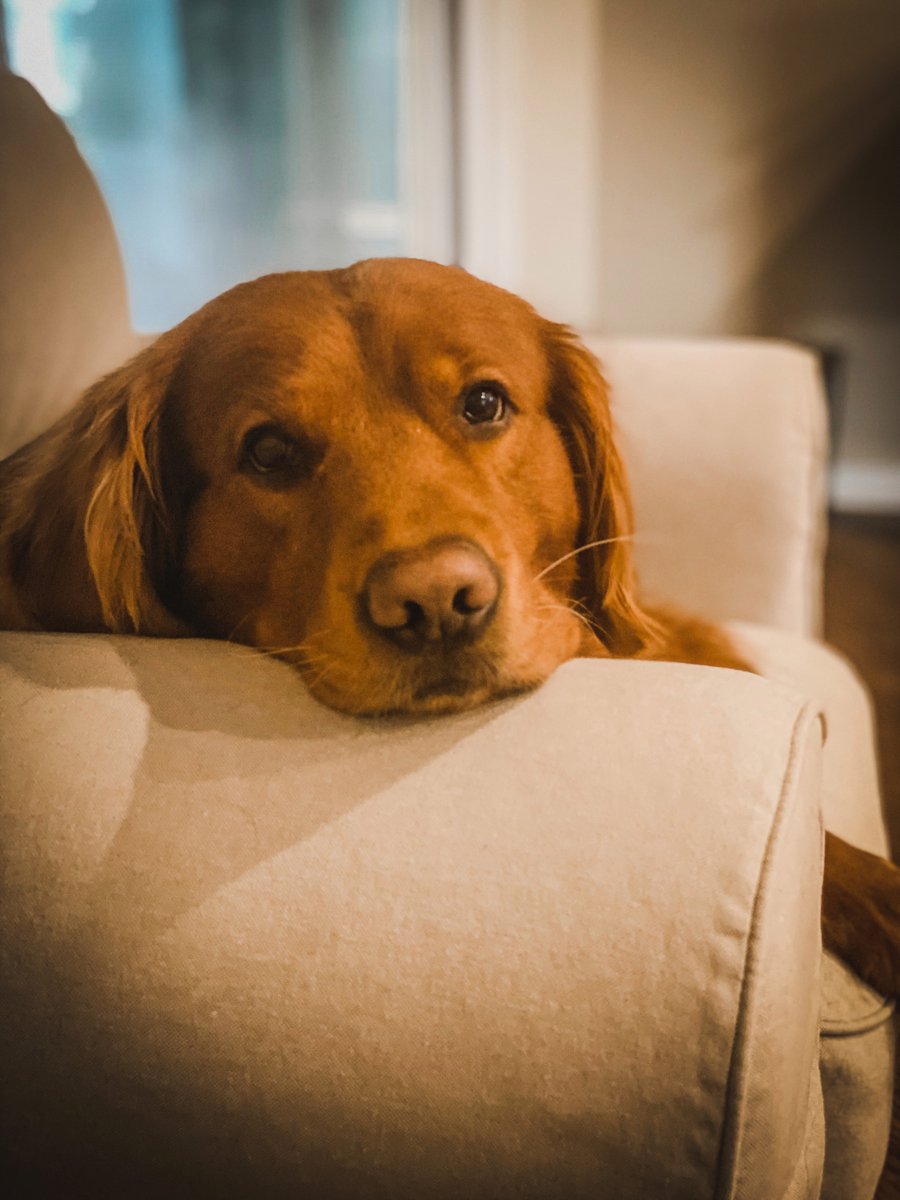 WFLA NEWS tweet media