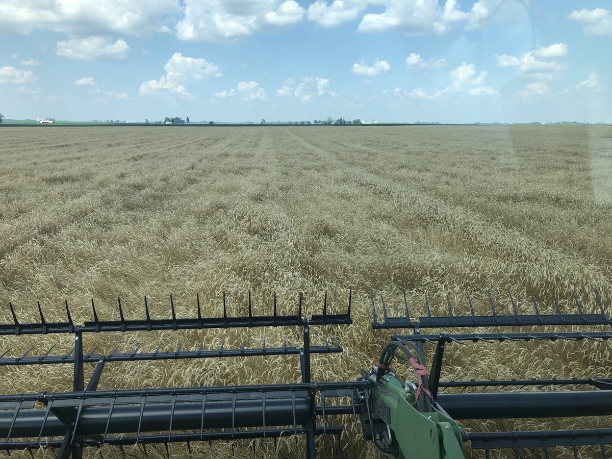 ADM Grain North. IL tweet media