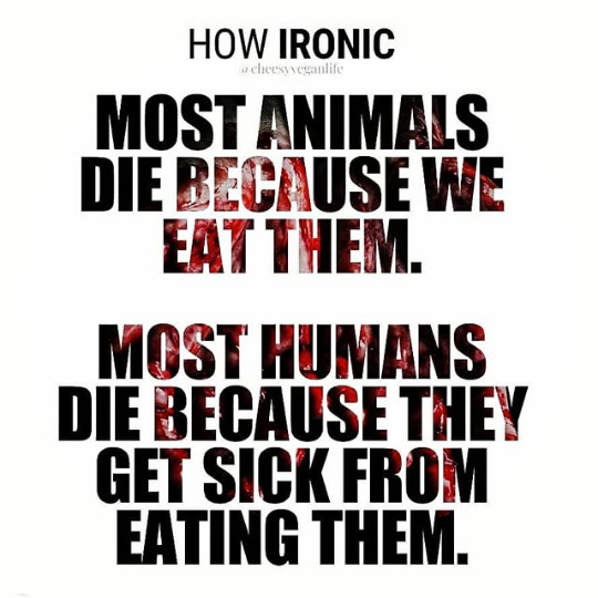 Oh yes, the irony! Most animals die because people want to eat them and then many of those people die because they get sick from eating meat! 😐 ⁠

#govegan #maketheconnection #meat #plantbased #WednesdayWisdom #veganinspiration #veganism #meateaters #AACC #coronavirus #ironic