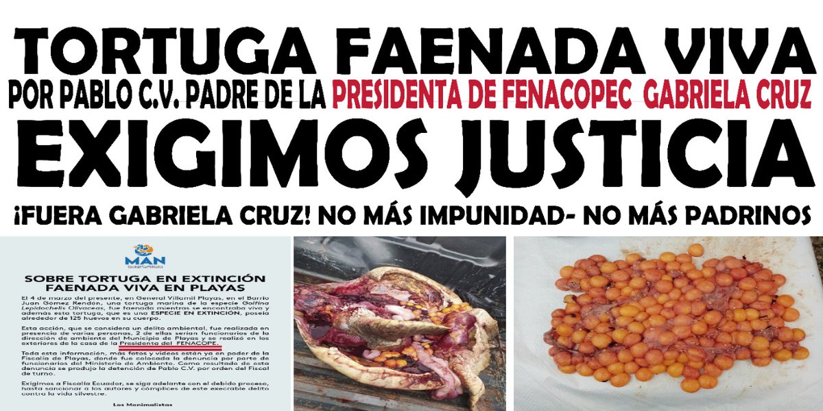MarianaQuijije's tweet photo. @soberanialimen @Lenin @CONOPAETV @FiscaliaEcuador @LeninPlazaC  @InpEcuador  me quedo así 👀😱 la milla de repruduccion alevines art 225 nueva ley de pesca... IMPUNE EL CASO es bueno tener padrinos prueba real actualizada basta del los dobles discursos.. https://t.co/21gaWVLfLc
