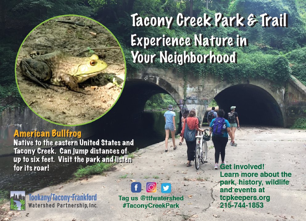 TTFWatershed's tweet photo. You can share your love for #TaconyCreekPark with friends and family who haven't yet visited with our new park postcards! Find us in the park or contact us to get yours: info(at)ttfwaters(dot)org. You can also call the office at 215-744-1853 and leave a message. #discoverTCP https://t.co/mKvYIZU21l