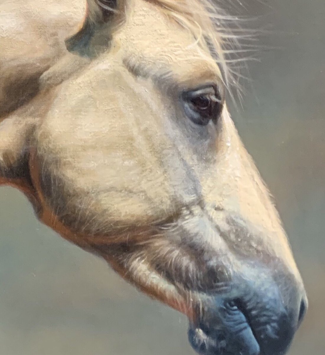 We have hundreds of new paintings for the upcoming Prix de West. Check out “Free Mare”by Teresa Elliott, oil on linen. She’s a new artist this year. #HashtagTheCowboy Thanks, Tim