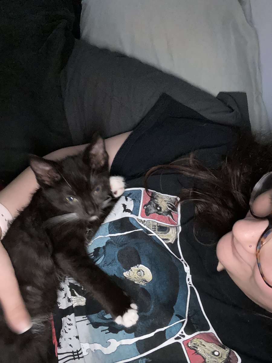 technitoria's tweet photo. you know when you just want to cuddle doom kitty? https://t.co/4tIZiC0EYH