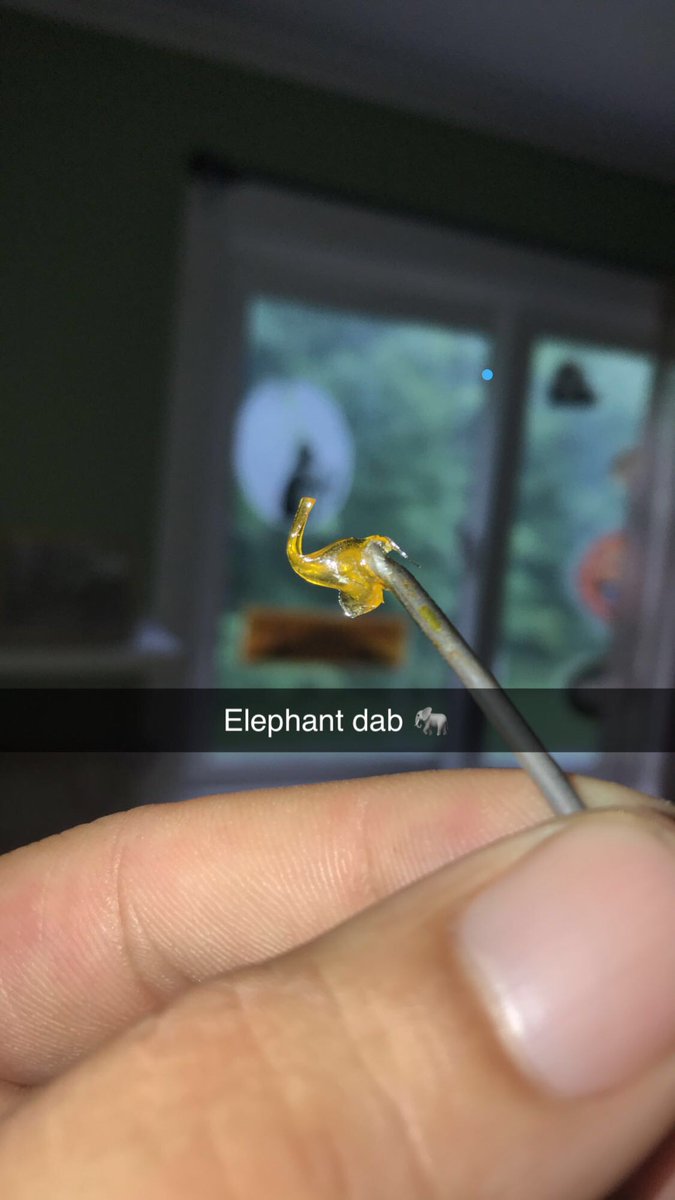 Jrod12480's tweet photo. 💚🔥🔥#ThisDabs4u™️🔥🔥💚
➡️➡️Now and Later⬅️⬅️
So tasty,,like the candy,,like my little artistic elephant DAB💯💯💯
#Mmemberville #cannabisculture #CannabisCommunity #GDC https://t.co/xC7OdnfITl