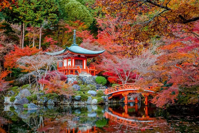 Naturephots's tweet photo. https://t.co/sgohSg995V