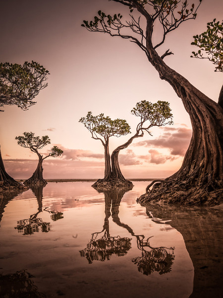 Naturephots's tweet photo. https://t.co/tP5Dk8SKfg