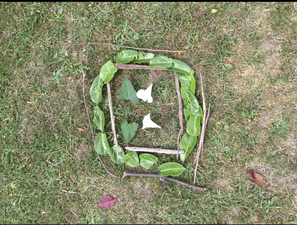 dragonhousekjar's tweet photo. Well done to all the entries for the nature art house competition. #kjar https://t.co/V0lY6POmBO