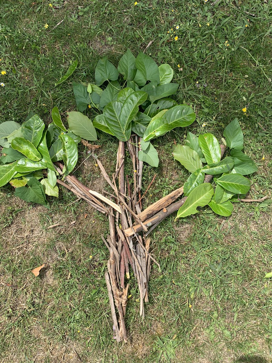 dragonhousekjar's tweet photo. Well done to all the entries for the nature art house competition. #kjar https://t.co/V0lY6POmBO