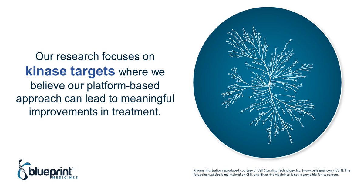 At Blueprint, we aim to develop #precisiontherapies that transform patient care and stay one step ahead of disease. Learn more about what we do: bit.ly/316kKNZ