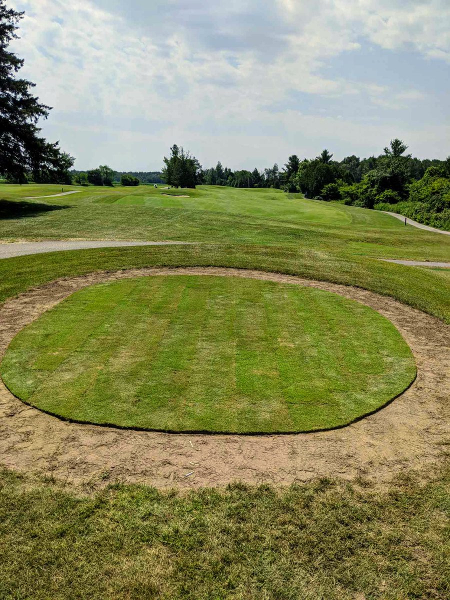 brianbeemer73's tweet photo. The new forward tee on 13 was sodded today. It will be ready for play in a few weeks. #nationalpines https://t.co/5WV3aAJ77R