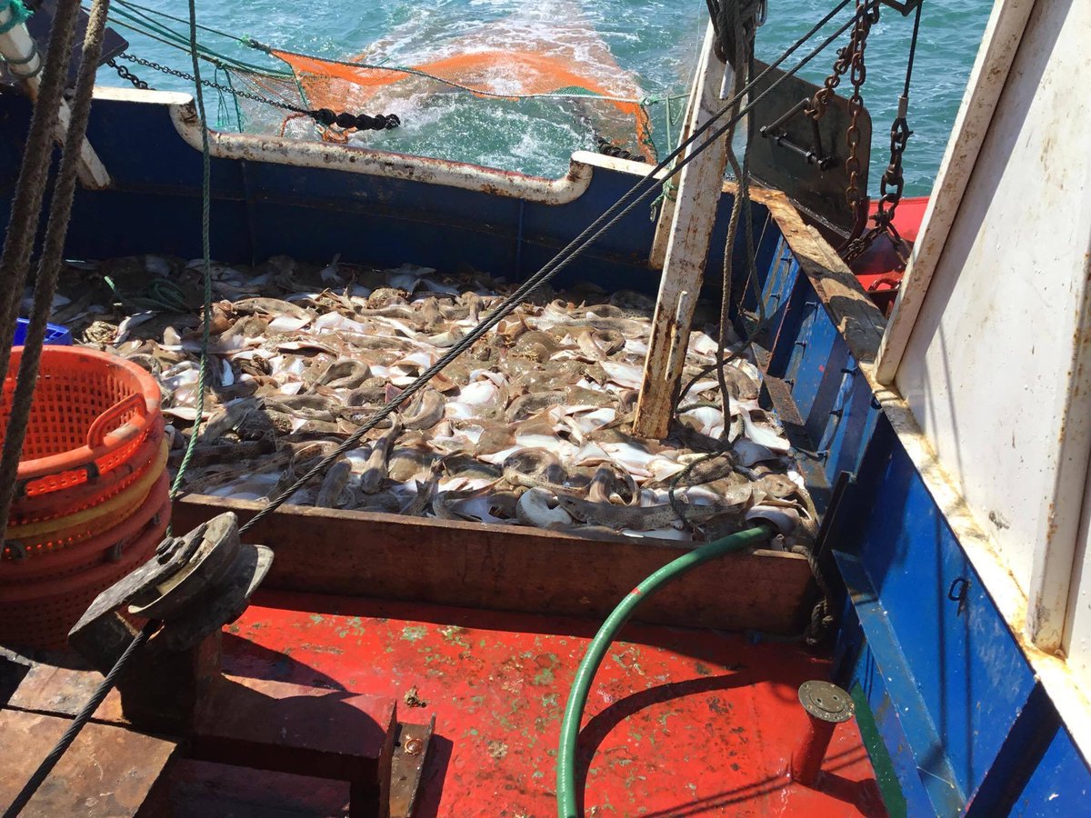 Simpers Home deliveries we are back in the Smokehouse smoking our own fish and other species which will now be available alongside our other produce
Please take a look at our on line shop which has now got all of these products  available to purchase.
simpersoframsholt.co.uk/online-store