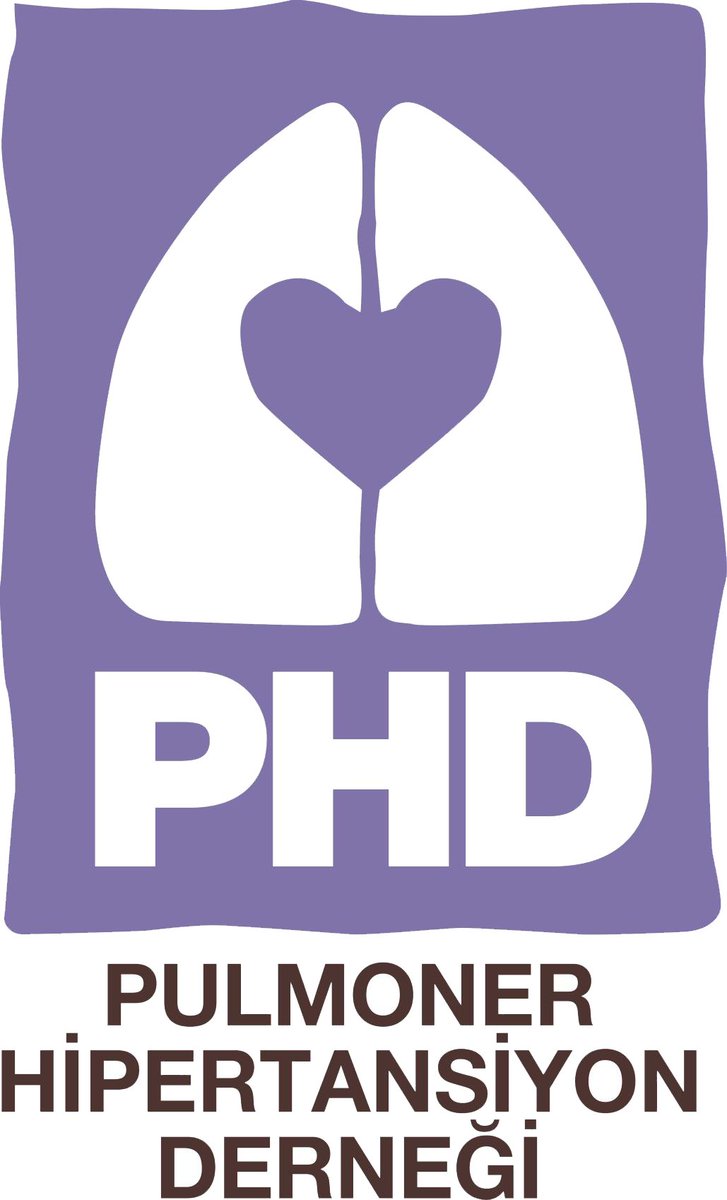 1991 yılında mücadeleye başlamış olan hasta dayanışma hareketi, nihayet 17 yıl sonra Dr. Gülseren KARABIYIKOĞLU’nun önderliğinde Pulmoner Hipertansiyon Derneğimizi aynı zamanda, Türkiye'nin ilk hasta ve yakınları tarafından kurulan hasta dayanışma derneğini 25 Mart 2008 de kurduk