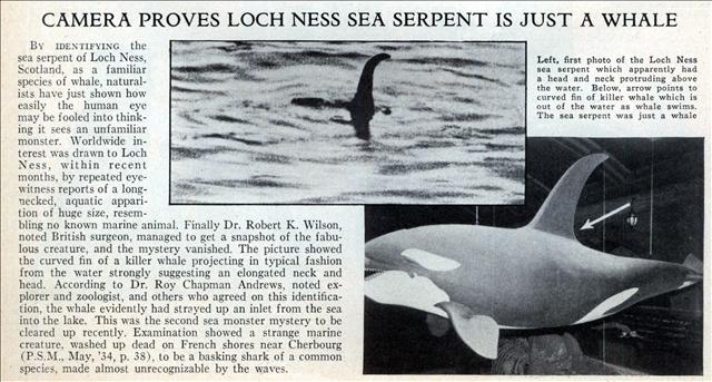 More radical is the suggestion that it might be the dorsal fin of a whale, an idea mentioned informally here and there (including by famed explorer Roy Chapman Andrews in 1934) and suggested seriously by David and Melba Caldwell in an article of 1970...