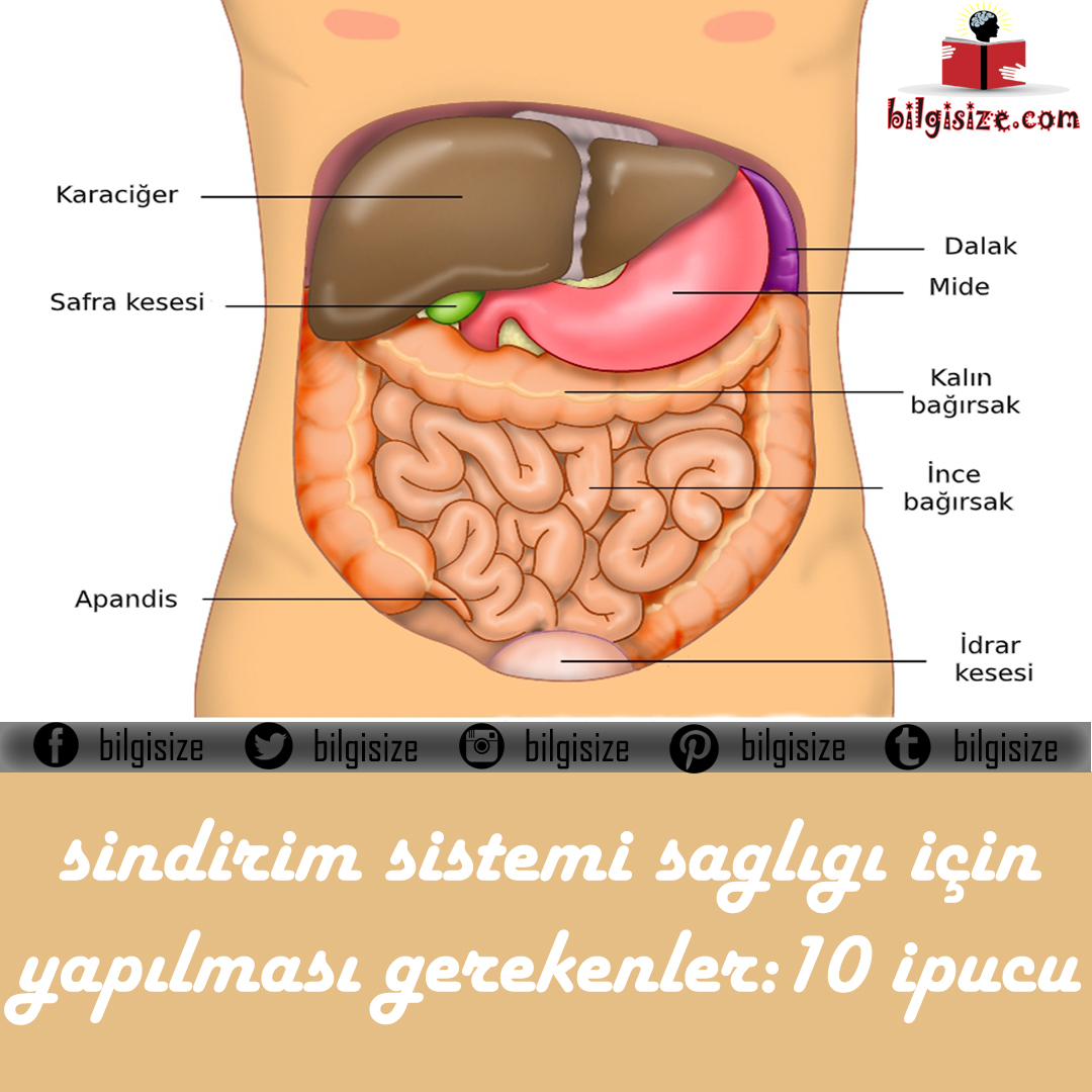 bilgisize's tweet photo. Sindirim sistemi sağlığı için yapılması gerekenler ile ilgili yazımıza aşağıdaki linkten ulaşabilirsiniz.

https://t.co/OqMV61bpJ7

#sağlıklbeslenme #sindirimsistemihastalığı #sindirimsistemisağlığı #sindirimsistemisağlığıiçinyapılmasıgerekenler https://t.co/OqFHKk7lnb