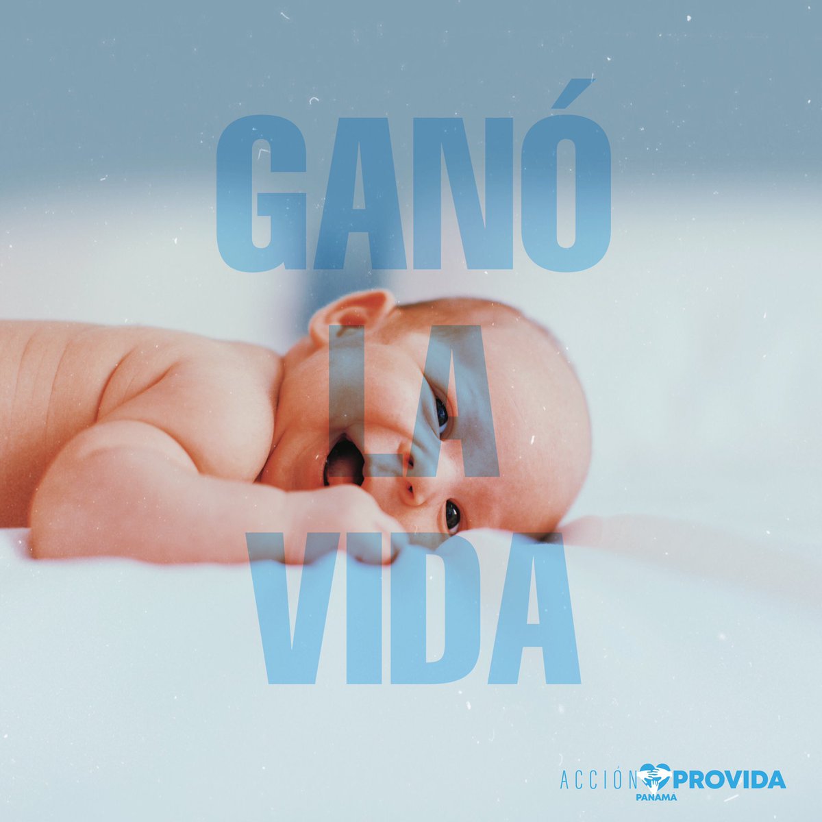 PanamaProvida's tweet photo. ¡GANO LA VIDA!
La mesa de la Comisión de Población y Desarrollo ha tenido que retirar el polémico párrafo relativo al compromiso de los estados para garantizar el aborto en el 2030. Y lo ha hecho por falta de consenso.
Fuente: Citizen Go https://t.co/IDAdYlj4zD
