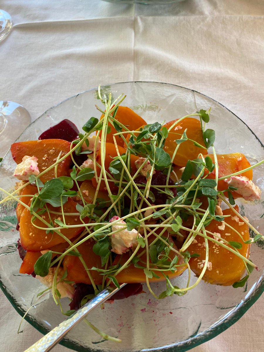 WhiteRockGarden's tweet photo. Golden beets are delicious and easy to grow. Fresh from the garden meals are the best!
#goldenbeets #vegetable gardening #growingbeets #whiterockbc #gardenclub https://t.co/JPlONYGMDB