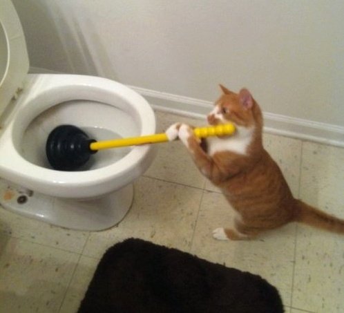 Duncan Walker tweet media