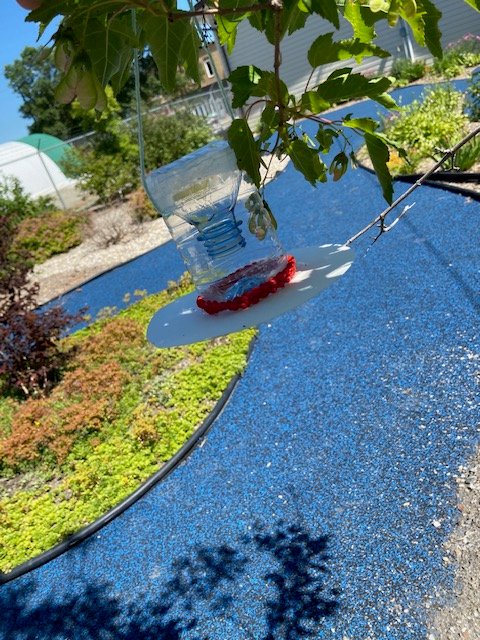 ManitouLibrary's tweet image. Join us at the library this Thursday to make DIY bird feeders! The times run from 10:30-11:00 and 11:15-11:45! Send us an e-mail at srpmanitoubranch2@gmail.com to sign up!