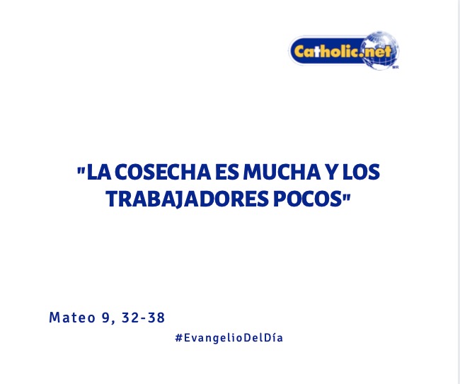 Catholicnet_es's tweet photo. #EvangelioDelDía https://t.co/NfqdSIwzMl