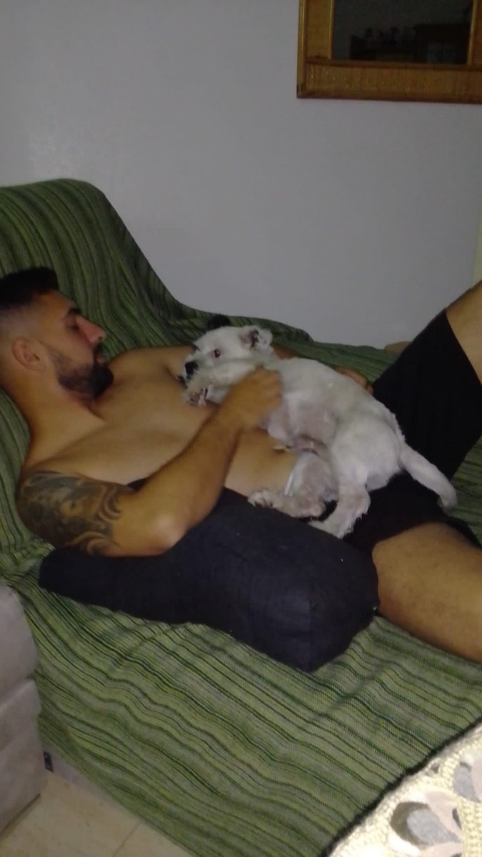 Samuell© (@samuell_sc) on Twitter photo 