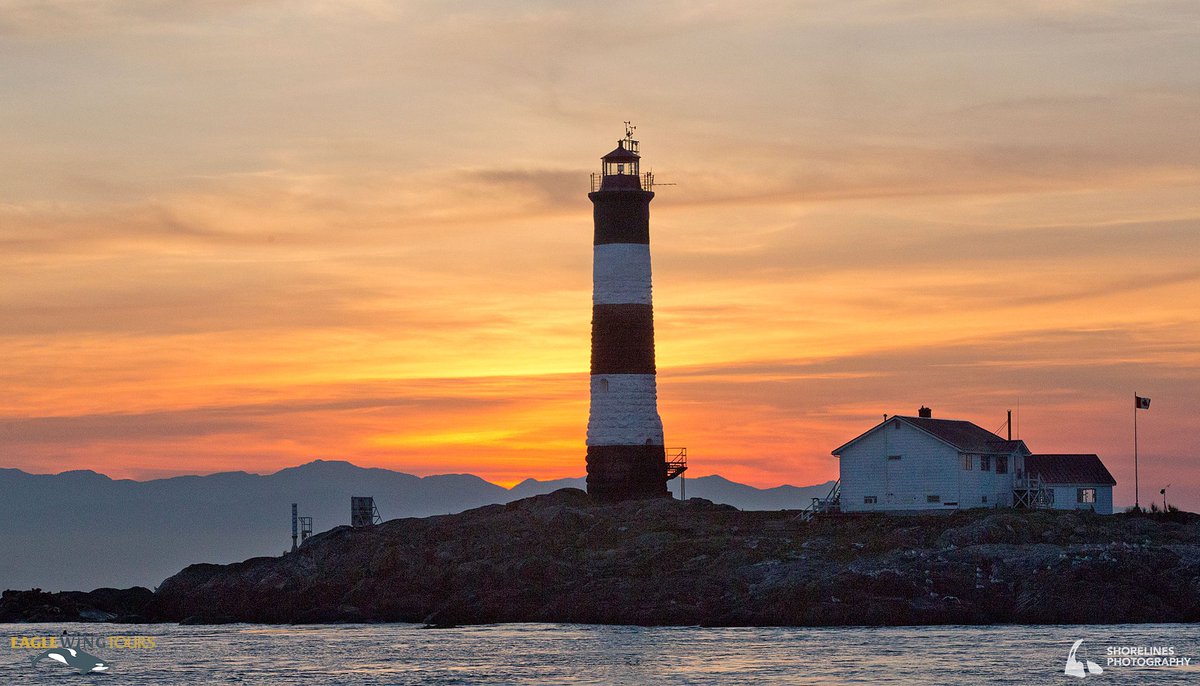 eaglewingtours's tweet image. Sights of the #SalishSea: Sunset at Race Rocks Ecological Reserve
Shorelines Photography
@DestinationCAN @TourismVI @HelloBC @victoriavisitor
#wild4whales #restartbc #supportlocal #staycation