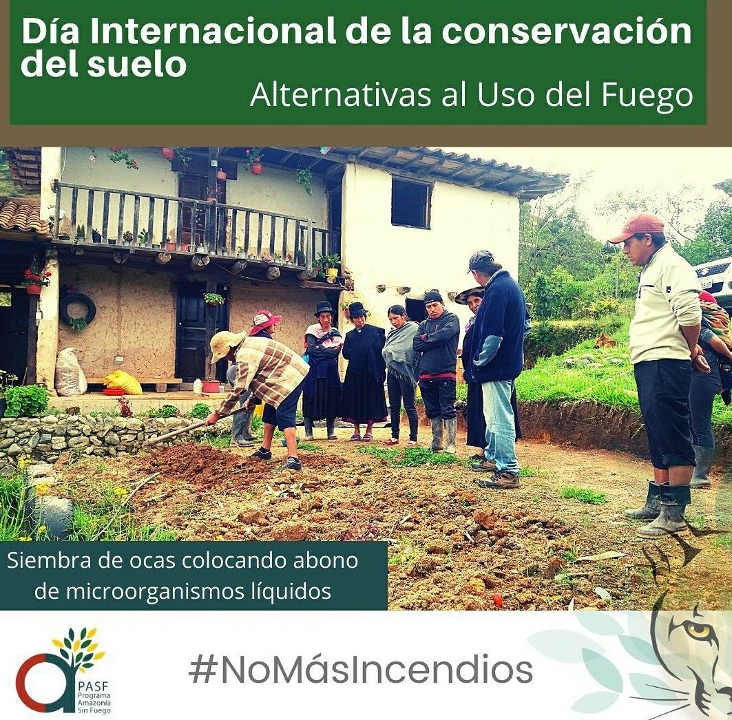 PASFecuador's tweet photo. Día Internacional de la Conservación del Suelo. Las quemas negligentes y recurrentes producen efectos negativos en el suelo:
🔥 Pérdida de materia orgánica por combustión
🔥 Erosión
🔥 Pérdida de fertilidad
¡El suelo es vida protegelo!
#NoMásIncendios #somosPASF https://t.co/n8RqkrKtqw