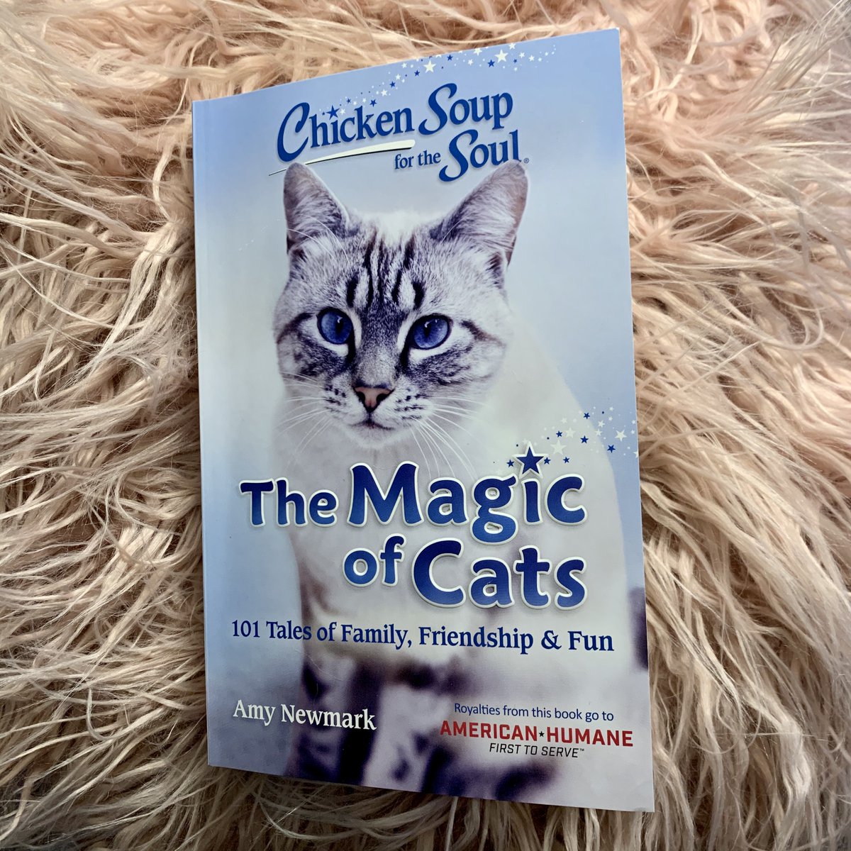ChickenSoupSoul's tweet photo. Hilarious to heroic, mischievous to miraculous, and everything in between. Chicken Soup for the Soul: The Magic of Cats is now available! https://t.co/LWJV0vWESx #CSSTheMagicofCats https://t.co/zGzXTUR8t3