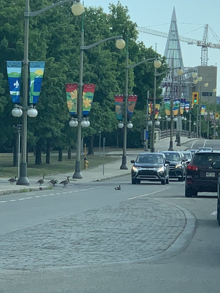 Perrin Beatty tweet media