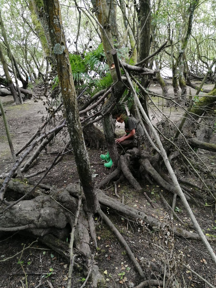 Den building and team work. We are currently doing a lot of work on how changing the words or tone of something you say can make a big difference to how the other person hears it. <a href="/MrsBRoberts1/">Mrs B Roberts</a>