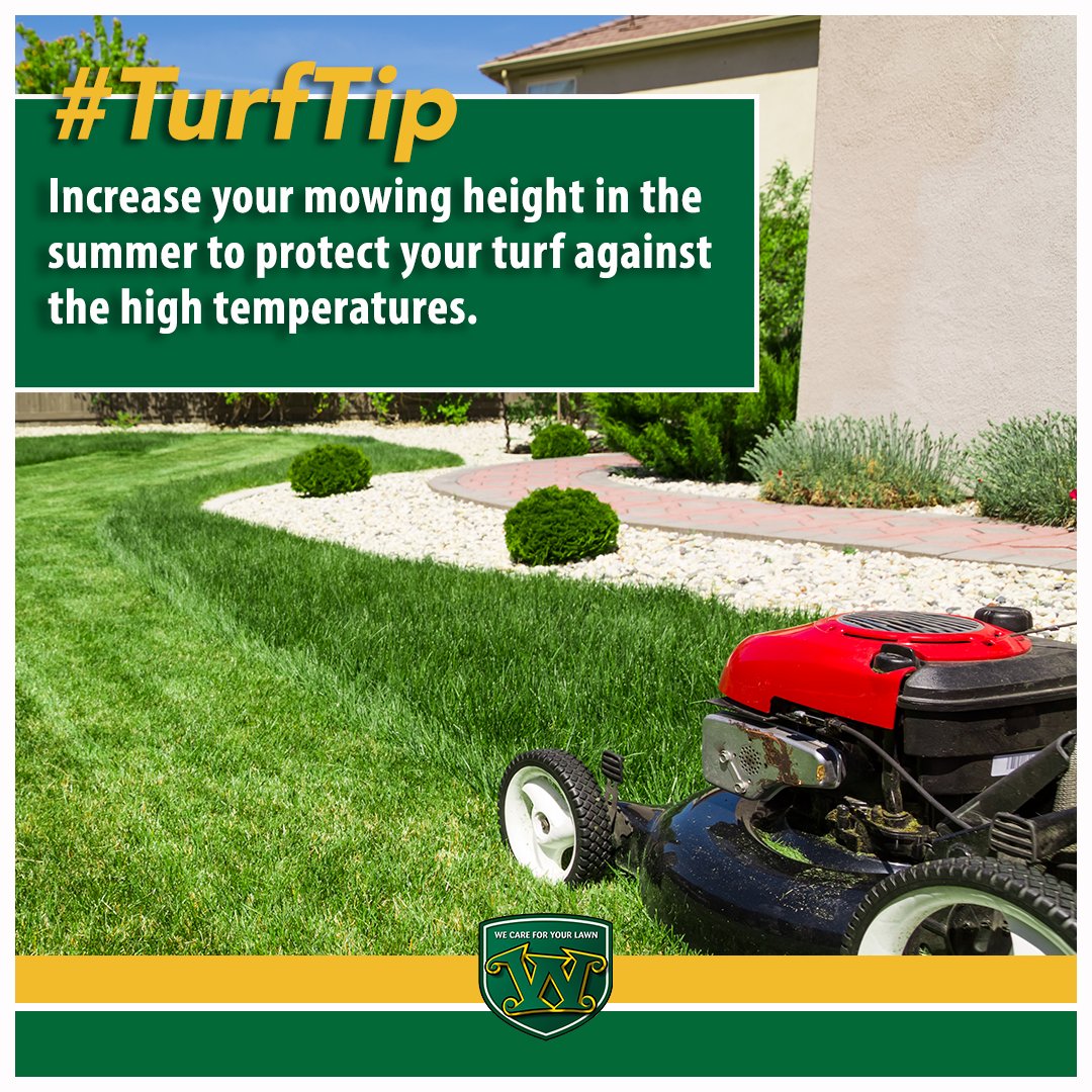 The warmer temperatures have arrived; we hope you and your family are enjoying the sunshine! But, don't forget about your lawn. We highly suggest increasing your mowing height in the summer to protect your turf against the high temperatures. #TurfTip #lawncare #summer