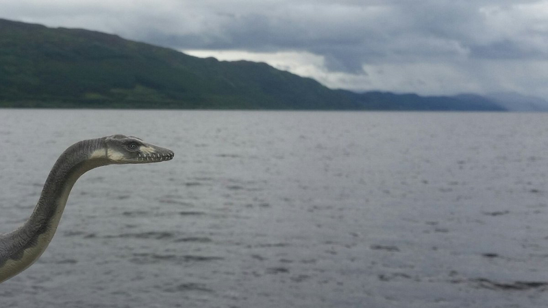 Buy their book if you want the full story! (though... it's now hard to get). And this is the end of the thread, thanks for reading! I have to thank Adrian Shine and Dick Raynor for help and advice on issues covered here.  #LochNess  #LochNessMonster  #nessie  #cryptozoology