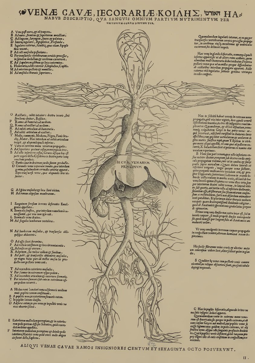Storiadellamedicina Before The Discovery Of The Circulation By W Harvey In 1628 The Doctors Of Antiquity Believed That There Were Two Blood Movements One Venous Commanded By The Liver Iecur