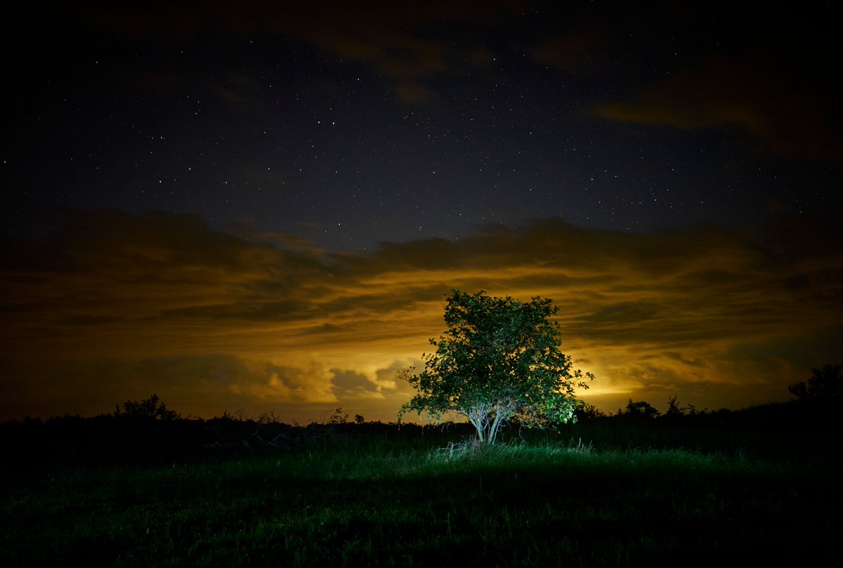 Christopher Bailey tweet media