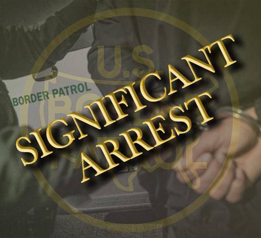 Deputy Chief Patrol Agent Chris Clem tweet media