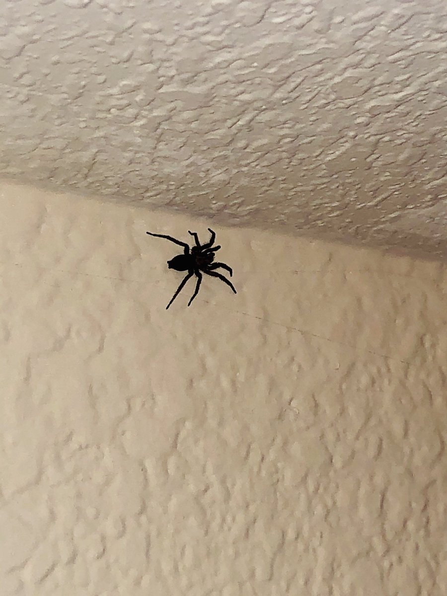 Aashay Desai tweet media