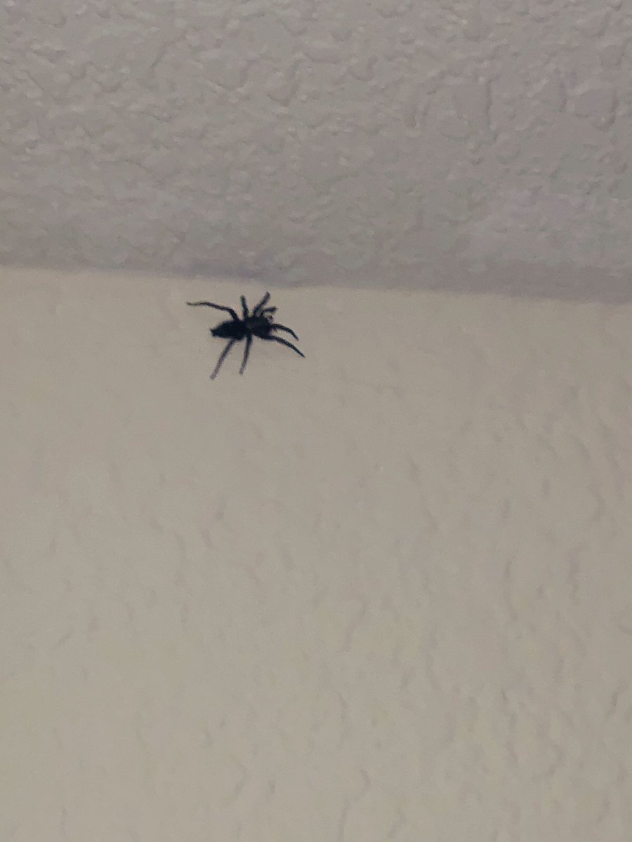 Aashay Desai tweet media