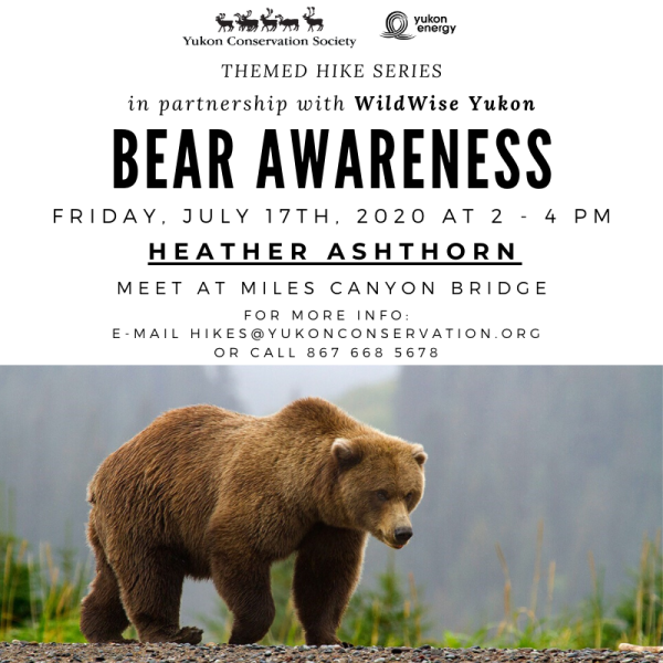 Specialty Hike at #MilesCanyon - #Whitehorse #Yukon on July 17th. #YCSYukon is collaborating with #WildWise Yukon to present a special hike on #Bear Awareness!