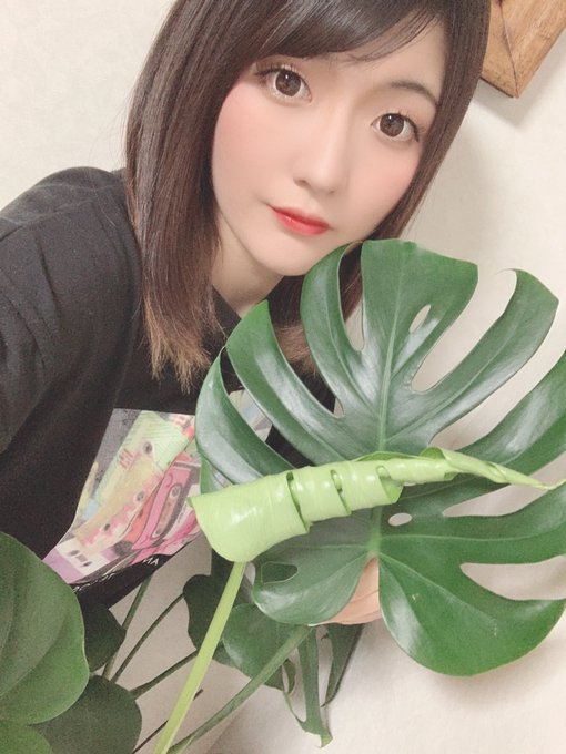 離れ目アイドル大賞19決勝進出のtwitterイラスト検索結果