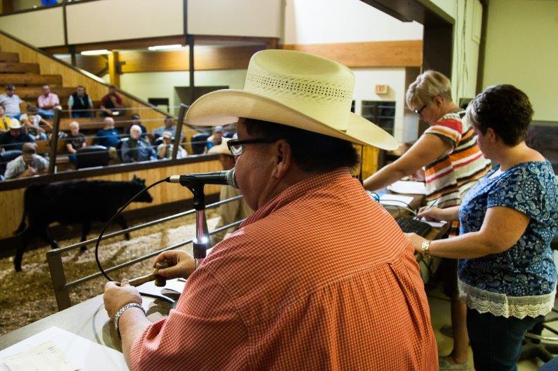 Perlichbros's tweet image. This year everyone has dealt with plenty.
Let us help you market your livestock for the fall 2020
We are here to go to work for YOU! 
Fall Run sale dates are now on our website.  perlich.auction Give us a call for all of your marketing needs. 403-329-3101