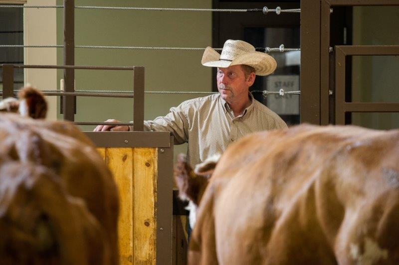 Perlichbros's tweet image. This year everyone has dealt with plenty.
Let us help you market your livestock for the fall 2020
We are here to go to work for YOU! 
Fall Run sale dates are now on our website.  perlich.auction Give us a call for all of your marketing needs. 403-329-3101