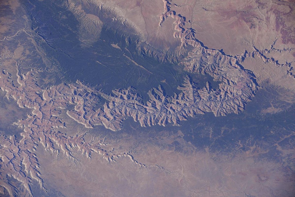 Col. Doug Hurley (@astro_doug) on Twitter photo I used two different lenses to capture these images, one showing the entire Grand Canyon and the second, a close up of the North Rim, Vermillion Cliffs National Monument, and the Kaibab National Forest. I used two different lenses to capture these images, one showing the entire Grand Canyon and the second, a close up of the North Rim, Vermillion Cliffs National Monument, and the Kaibab National Forest.