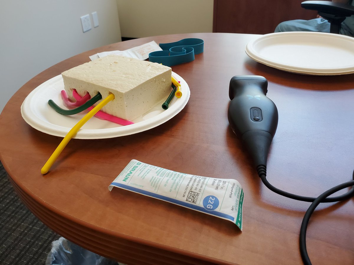 Ultrasound guided IV Zoom telesimulation using home task trainer using tofu and red dye with balloons for MS1s  #telesimulation #medicine #medicalschool #emergencymedicine #EM #Anesthesiology #butterflyiq #ultrasound #MedEd