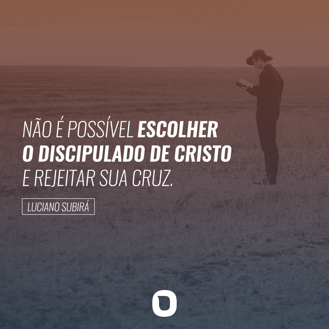 Orvalho.Com tweet media