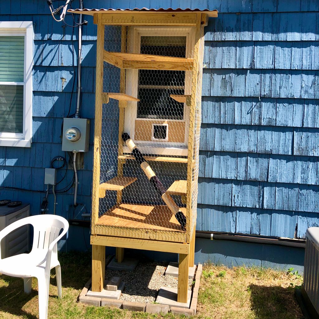 detroit_build's tweet photo. Birdhouse? No, a cat house!
Prospective clients of ours created a little indoor/outdoor “clubhouse“ for their cats! We can't take credit, but it was so creative, we wanted to share!
#cathouse #cat #cats #catproject #home #house #homeinprovement #homeproject #diy #ilovecats https://t.co/CfsHgX950E
